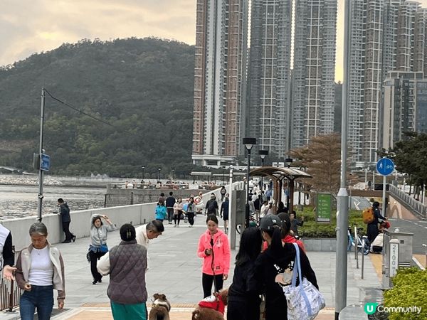 澳南海旁一向都是跑步，walk狗，吃飯前後散步的好地方。加上...