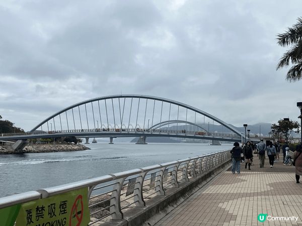 澳南海旁一向都是跑步，walk狗，吃飯前後散步的好地方。加上...