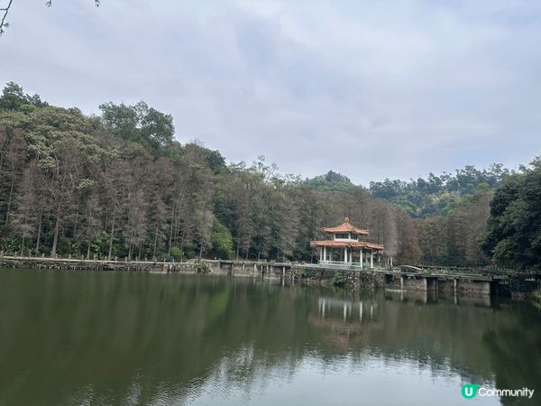 深圳仙湖植物園，鄰近蓮塘口岸，出入方便，有山有湖，可觀鳥賞花...