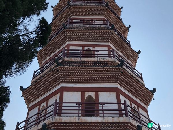 廣東省-肇慶市，廣西省平南老🐯虎樂團洒店，開心新奇好玩。