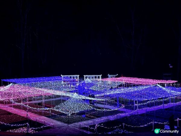 鳥取花迴廊十分值得去，除夕夜的燈飾十分漂亮，遊客也比較少，可...