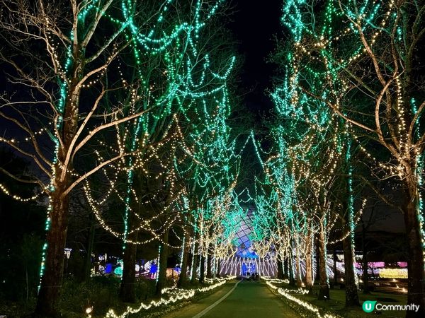 鳥取花迴廊十分值得去，除夕夜的燈飾十分漂亮，遊客也比較少，可...