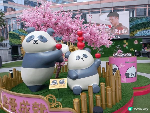 熊貓點心造型十分趣緻加上商場嘅熊貓打卡點吸引 正追上現在嘅熊...