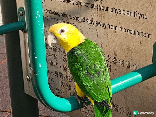 生活就係隨時隨地做到自己鍾意既事