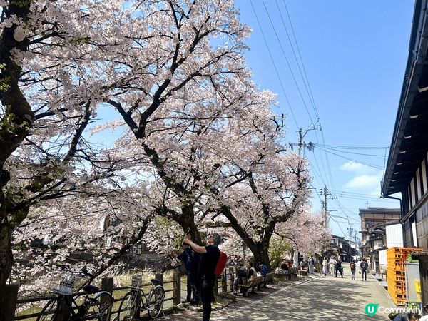 黎到日本名古屋就一定要去下飛驒高山😍呢度任何一個地方打卡都系...