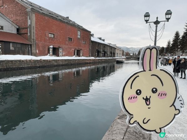 今個新年同兔哥去咗北海道嘅道南、道央同道東。