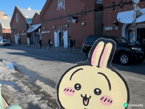 今個新年同兔哥去咗北海道嘅道南、道央同道東。