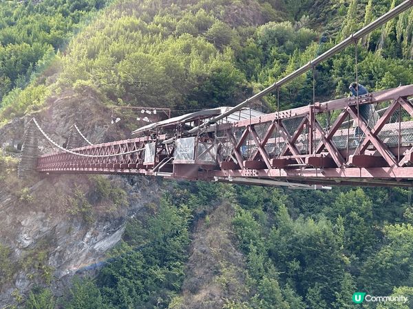 紐西蘭快樂之旅，滿地牛牛、羊咩，唯一唔敢做的是在橋上跳笨豬j...