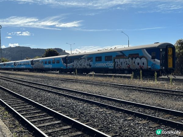 紐西蘭快樂之旅，滿地牛牛、羊咩，唯一唔敢做的是在橋上跳笨豬j...