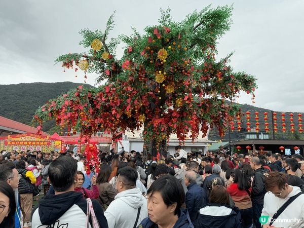 大埔林村新春市集，規模可以媲美年宵市場，有大型賀年吹氣公仔及...