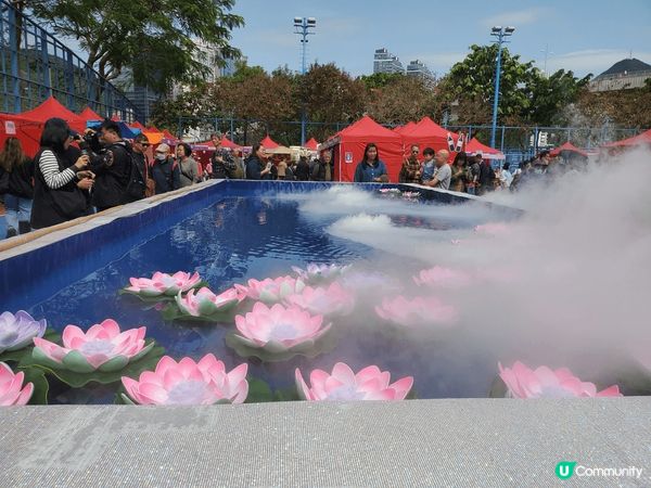 鴨脷洲洪聖傳統文化節打卡點,莫過於水燈晚會的水燈,早上影相都...