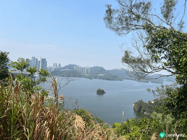 深圳梧桐綠道不僅是休閒健身的好去處，還是感受深圳城市風貌和自...
