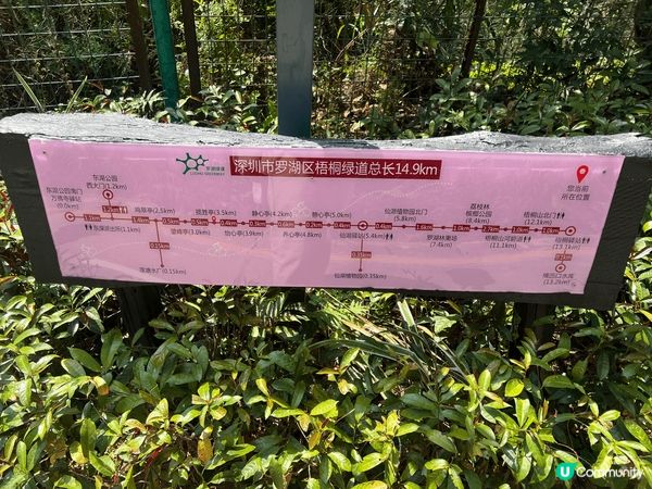 深圳梧桐綠道不僅是休閒健身的好去處，還是感受深圳城市風貌和自...