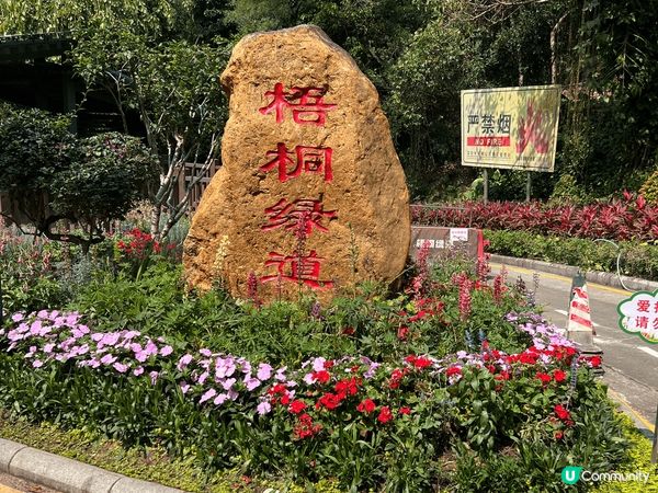 深圳梧桐綠道不僅是休閒健身的好去處，還是感受深圳城市風貌和自...