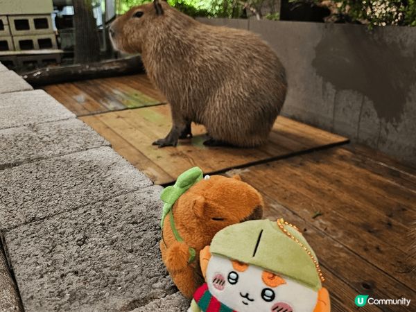 去年聖誕期間去了台南一趟～