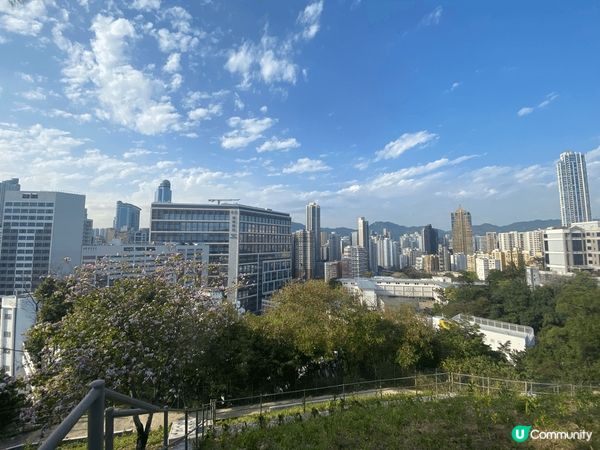 油麻地配水庫休憩花園，非常適合喺市區返工嘅朋友仔，想抖一抖，...