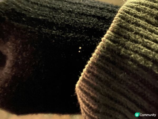 去到東京，夠時間就一定要去埋睇富士山啦！今次去到河口湖，好感...