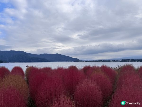 去日本一年四季可以睇到唔同景色，加上交通方便，環境安全，又多...