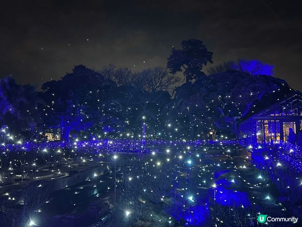 東京之旅有日plan左去江之島睇燈。本來無咩特別期望，點知身...