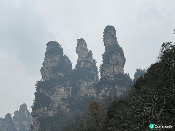 由赤柱到中國再到日本