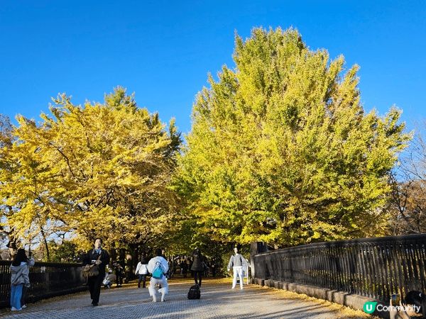 由赤柱到中國再到日本