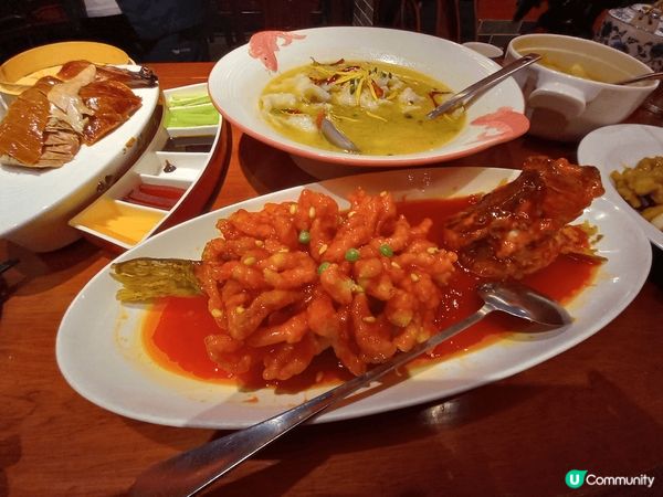 剛巧是黃花風鈴木盛開季節 甚是美麗以而旁邊一個 公園嘅瀑布相...