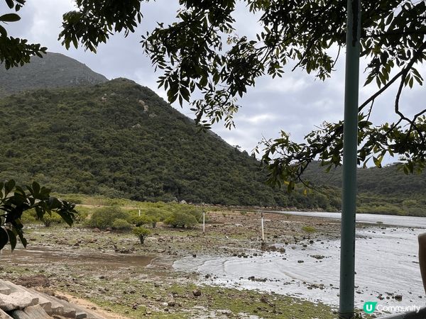 東澳古道，顧名思義就是東涌到大澳的行山徑，全長15公里，但路...