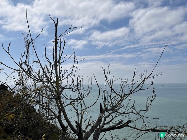東澳古道，顧名思義就是東涌到大澳的行山徑，全長15公里，但路...