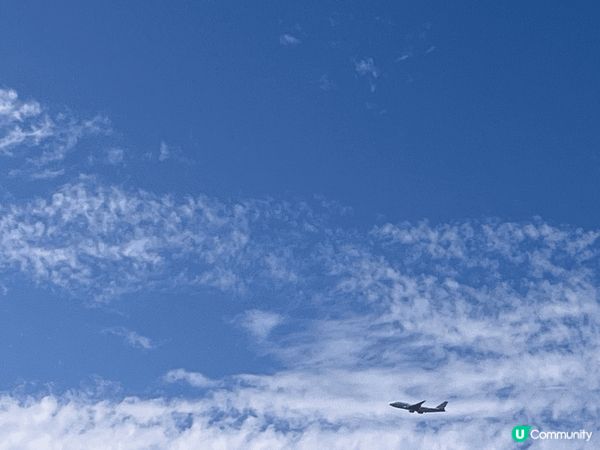 東澳古道，顧名思義就是東涌到大澳的行山徑，全長15公里，但路...