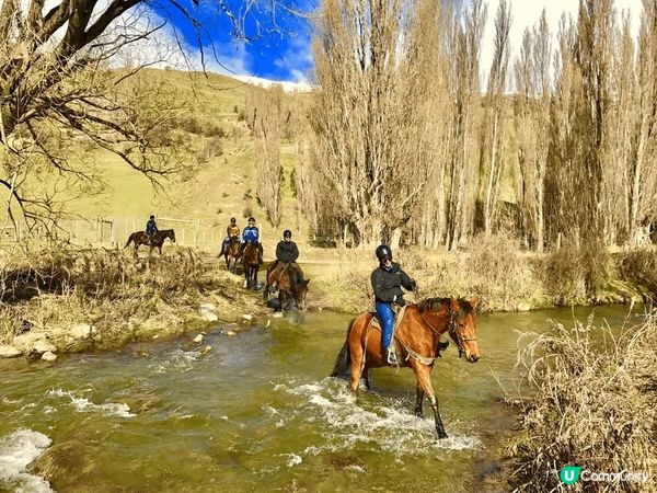 卡德羅納小徑騎馬, 騎上馬鞍，享受這種非常獨特的騎馬徒步體驗...