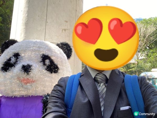 香港公園驚現熊貓🐼？！