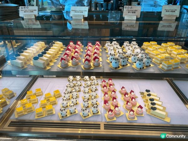 第一次去海洋公園食自助餐，酒店位置方便，有專車接送。餐廳地方...