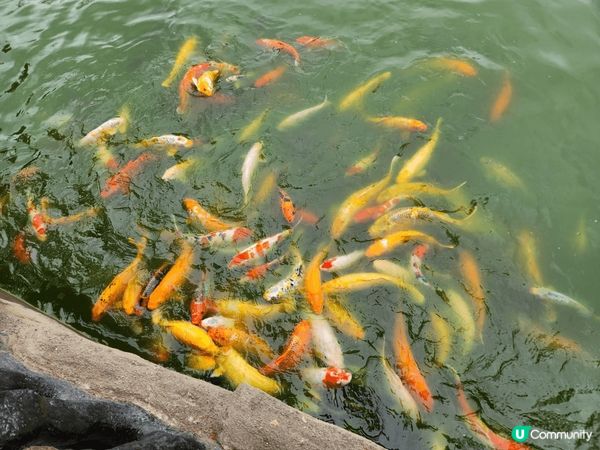 #珠海御溫泉渡假村