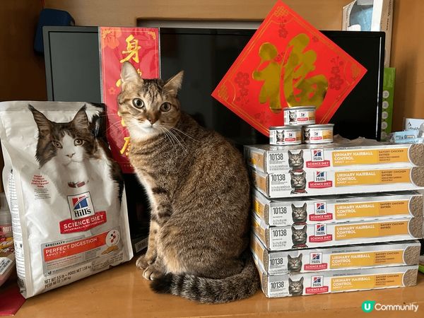 我兩個主子🫶🏻 黃澄澄既薯片 同 燒lon 左既乳豬～ 兩位...