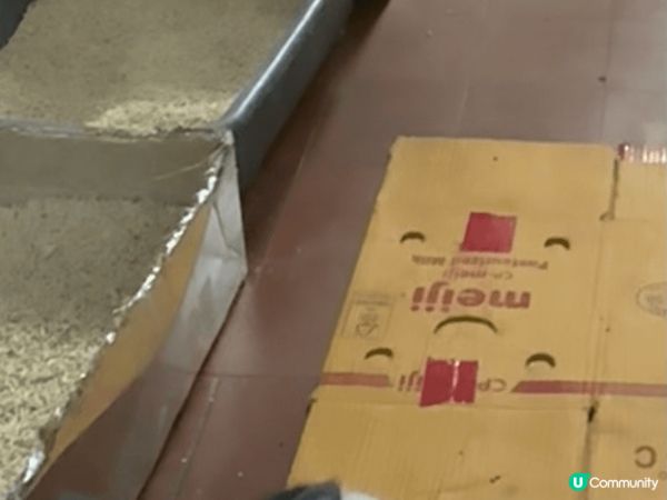 大家自己估吓邊個係: