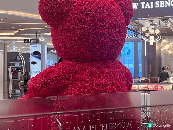 深圳吃蟹三寶，全店以食蟹為主題，蟹煲仔飯4種蟹混合在熱辣辣的...