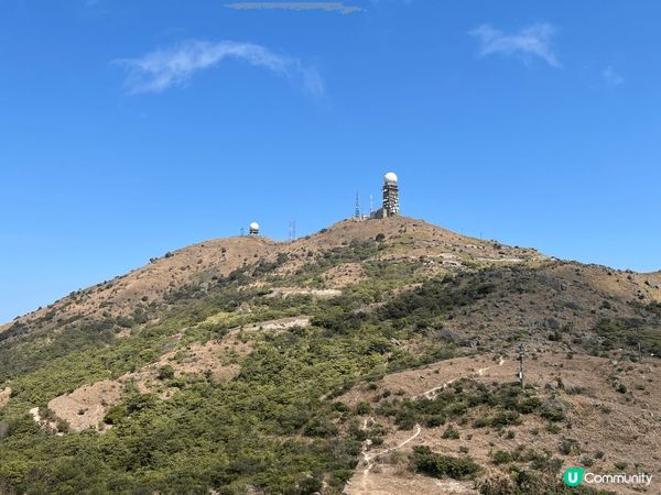 朝早在川龍飲完茶之後行上大帽山，天清氣朗！😎唔難行路亦唔算斜...