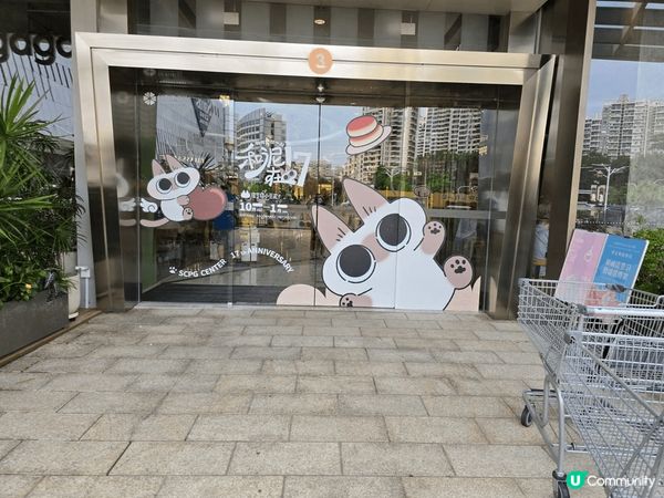 覺得D貓貓好可愛呀，好似陪緊我玩一樣，好似入咗貓貓嘅世界入面...