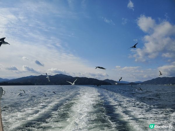 由京都出發，到天橋立和美山一天遊，當然不能不坐船餵海鷗，再到...
