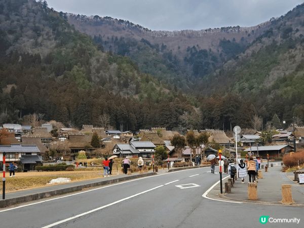 由京都出發，到天橋立和美山一天遊，當然不能不坐船餵海鷗，再到...