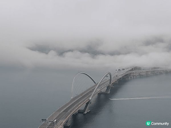 霧鎖香江！今天望向將軍澳海大橋，海霧遮蓋部分大橋。大橋若隱若...