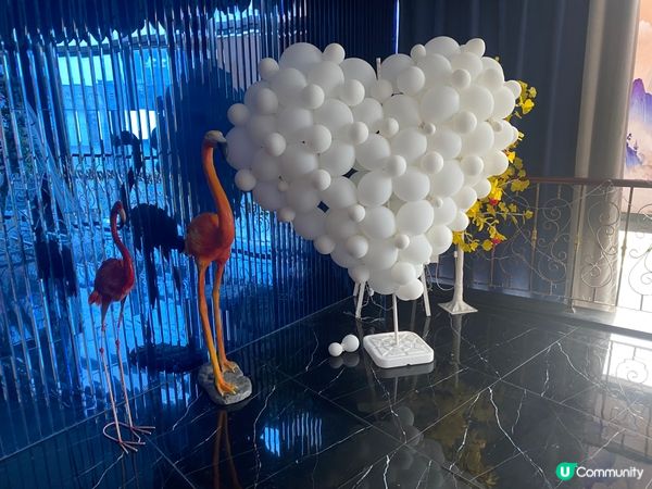 惠陽唱k推介，星k🎤天安店，唱到盡情！🥳