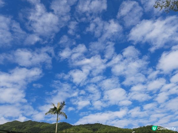 將軍澳之小夏威夷徑正是打卡最佳地方因為任何一個風景也可以拍攝...