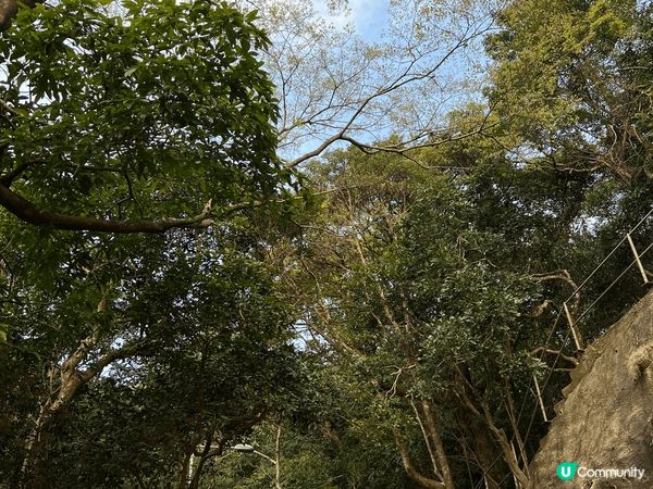 春天郊遊鍛鍊身體，欣賞沿途美景是一樂事也！ #社群三月快閃送...