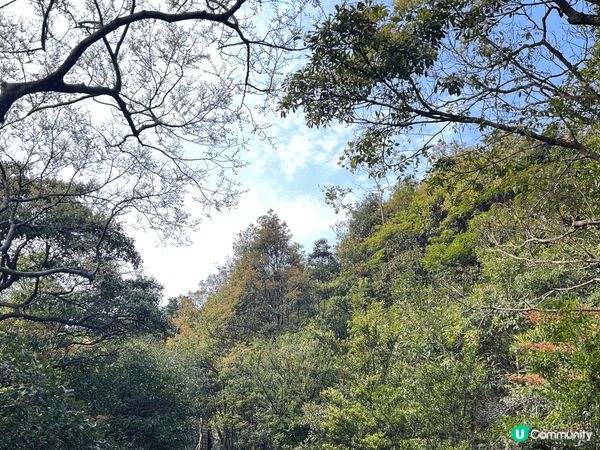 春天郊遊鍛鍊身體，欣賞沿途美景是一樂事也！ #社群三月快閃送...