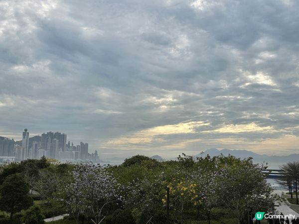 西九文化區近故宮博物館草地，可以飽覽整個維港日落美景，絕對是...