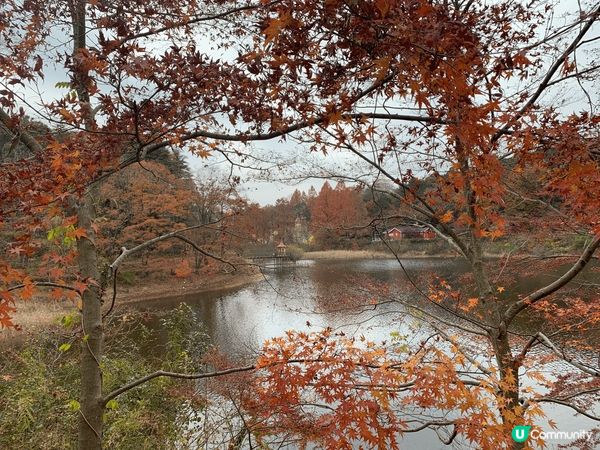 #社群三月快閃送  位於東京近郊的姆明主題公園，會分成「睇」...