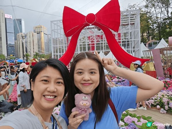 維園花展2025，同中同影左“秋英花”😝😝😝