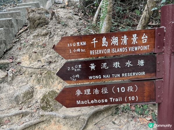 春天係行山嘅好日子，千島湖唔算辛苦，景觀一流，週末行吓運動吓...