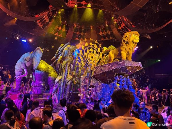 春日花開！我今日黎左香港迪士尼！門口用鮮花砌成的公仔圖案真係...